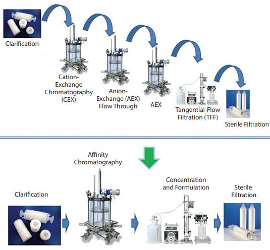 Vecteurs viraux ; Downstream process ; DSP