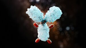 ADC, antibody-drug conjugates, conjugués anticorps médicaments