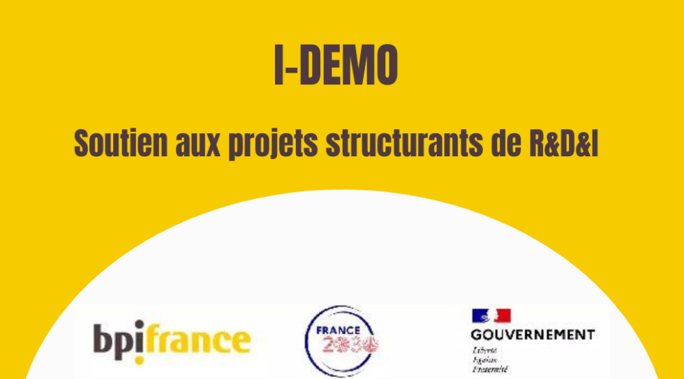 I-DEMO-Soutien-aux-projets-structurants-de-RDI-1-980x543