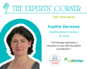 Cell therapies, interview, expert's corner